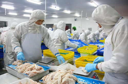 職業化設計視角下的食品工廠排水系統與婚姻介紹服務的共通點探析